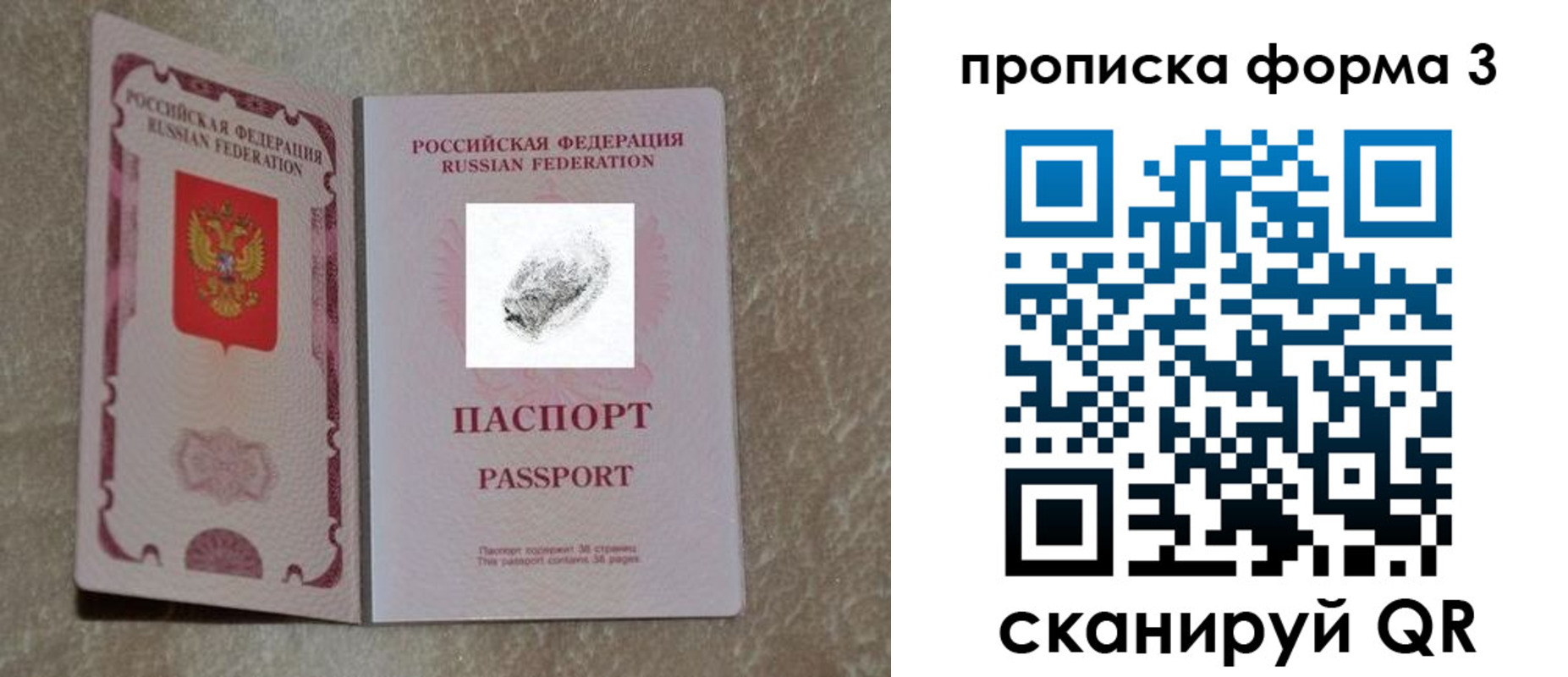 прописка гарантия в Ногинске
